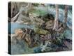 Stretched Canvas Print