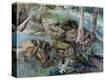 Stretched Canvas Print
