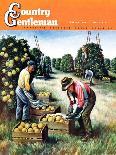 "Picking Grapefruit," Country Gentleman Cover, February 1, 1942-John S. Demartelly-Framed Premier Image Canvas