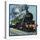 Stretched Canvas Print