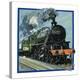 Stretched Canvas Print