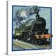 Stretched Canvas Print