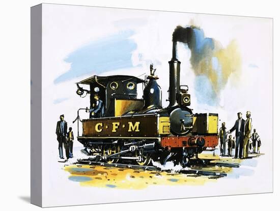 Stretched Canvas Print, , large