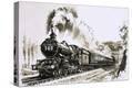 Stretched Canvas Print