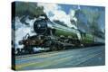 Stretched Canvas Print
