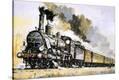 Stretched Canvas Print