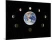 Premium Photographic Print