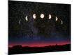 Photographic Print