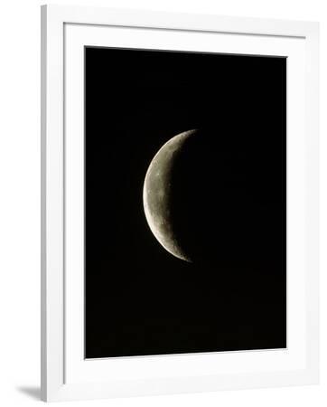 john-sanford-optical-image-of-