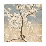 Pink Magnolias I-John Seba-Stretched Canvas