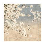 Pink Magnolias I-John Seba-Stretched Canvas