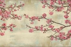 Cherry Blossoms-John Seba-Art Print