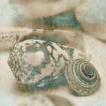 Coastal Gems III-John Seba-Framed Giclee Print