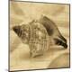 Premium Photographic Print