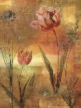 Tulip Garden II-John Seba-Art Print