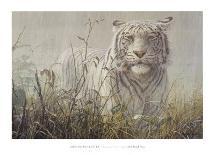 Monsoon- White Tiger (detail)-John Seerey-Lester-Framed Art Print