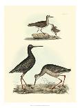 Selby Sandpipers I-John Selby-Framed Stretched Canvas