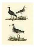 Selby Sandpipers II-John Selby-Framed Stretched Canvas