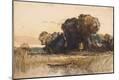 Giclee Print