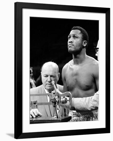 Premium Photographic Print, , large