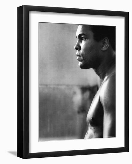 Premium Photographic Print, , large