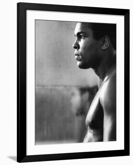 Premium Photographic Print, , large