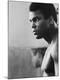 Premium Photographic Print