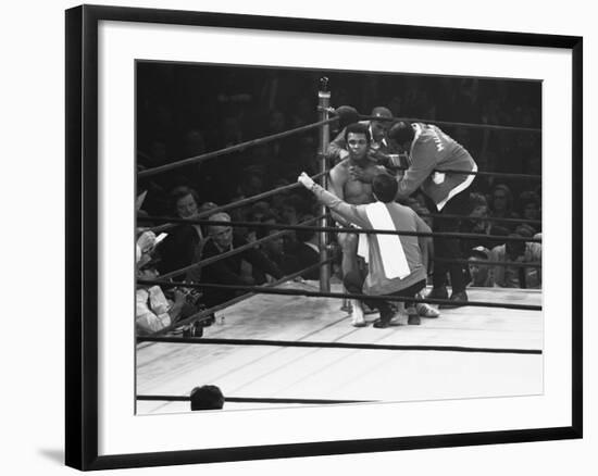 Premium Photographic Print, , large