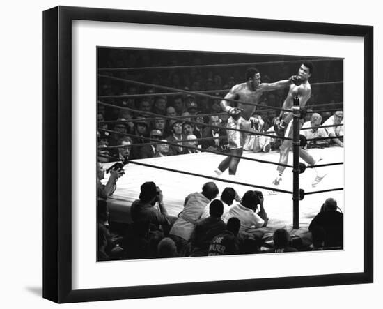 Premium Photographic Print, , large
