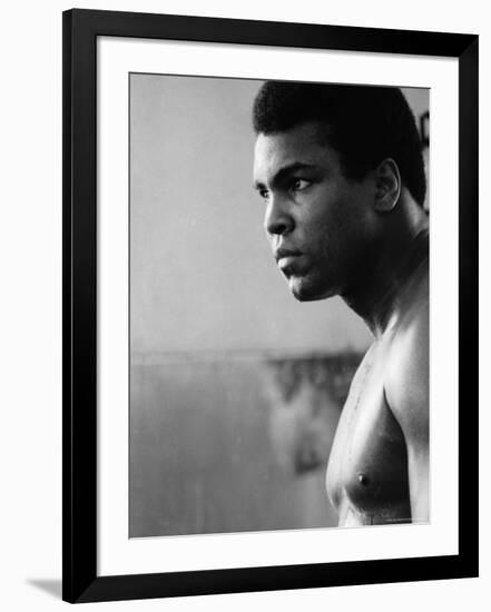 Premium Photographic Print, , large