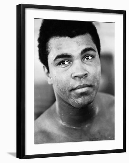Premium Photographic Print, , large