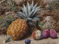 A Pineapple, a Peach and Plums on a Mossy Bank-John Sherrin-Giclee Print
