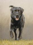 Labrador-John Silver-Framed Premier Image Canvas