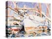 Stretched Canvas Print