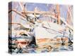 Stretched Canvas Print