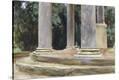 Stretched Canvas Print