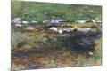 Giclee Print