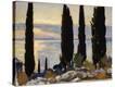Stretched Canvas Print