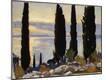 Giclee Print
