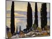 Giclee Print