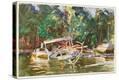 Stretched Canvas Print