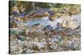 Stretched Canvas Print