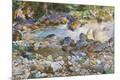 Premium Giclee Print