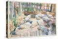 Stretched Canvas Print