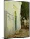 Giclee Print
