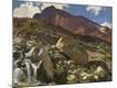 Premium Giclee Print