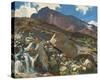 Stretched Canvas Print