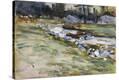 Stretched Canvas Print
