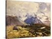 Stretched Canvas Print