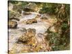 Stretched Canvas Print